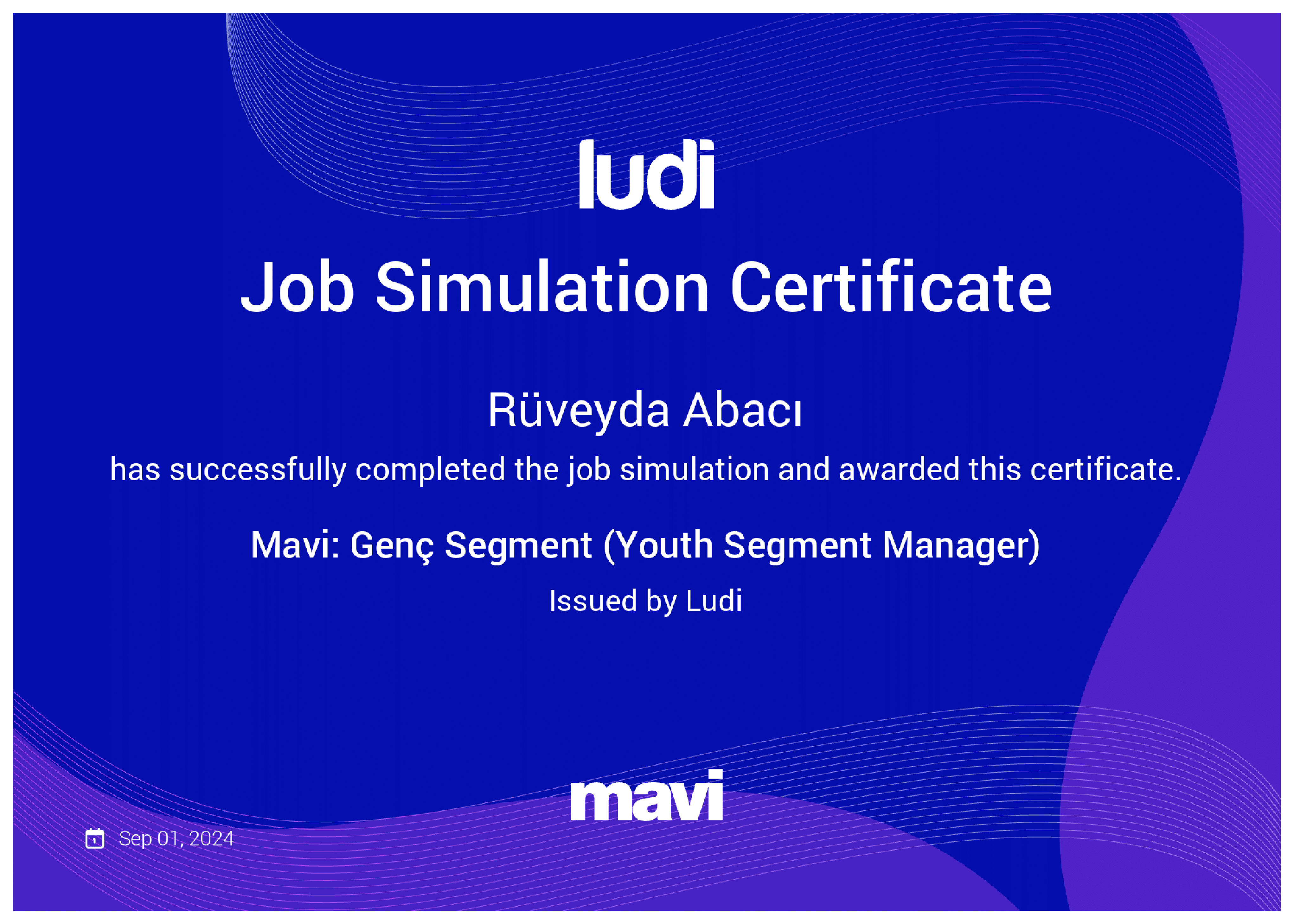 Ludi - Mavi: Genç Segment
