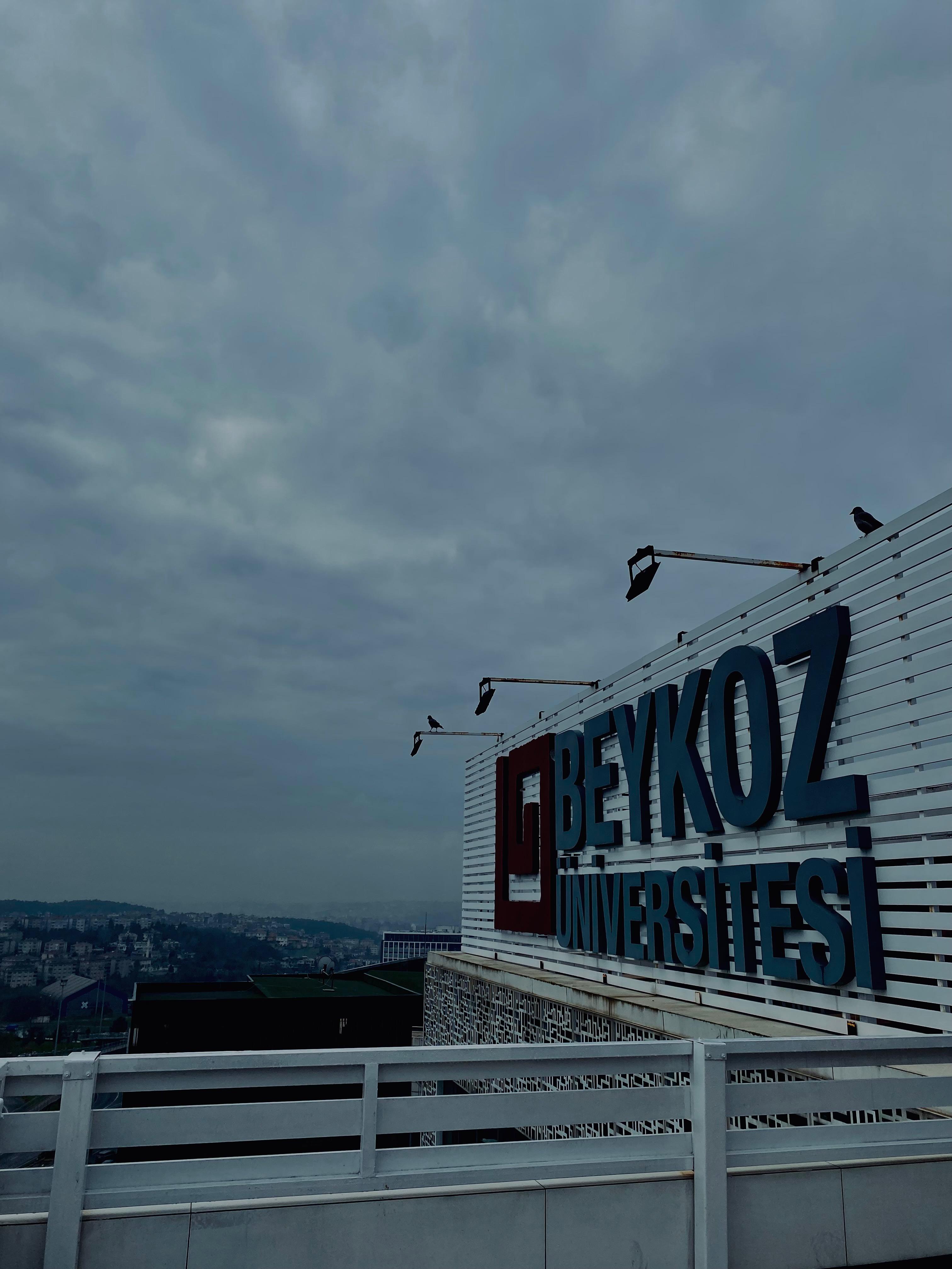 Okul Hayatı
